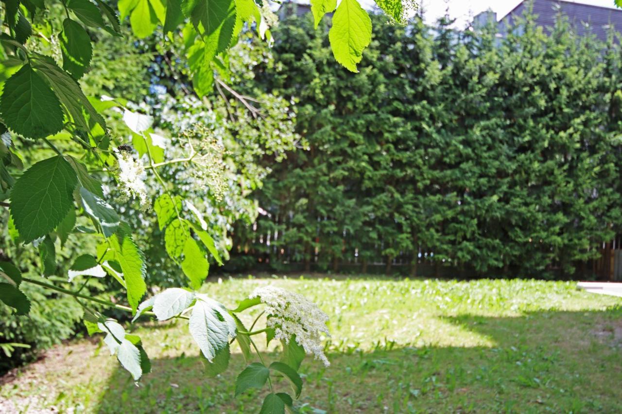Aurturist S Candido Roulette San Candido Eksteriør billede